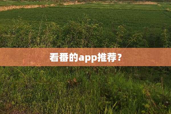 看番的app推荐？