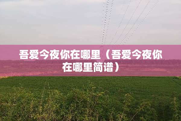 吾爱今夜你在哪里（吾爱今夜你在哪里简谱）
