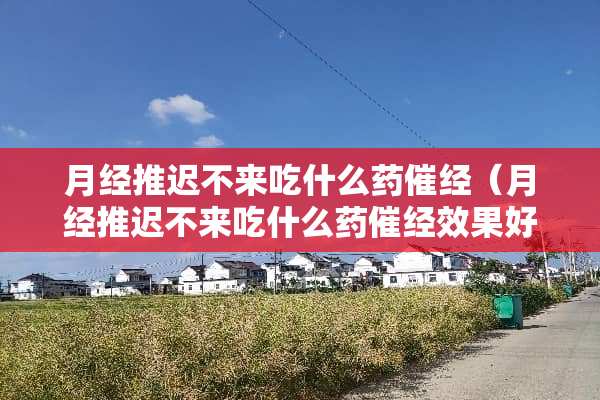月经推迟不来吃什么药催经（月经推迟不来吃什么药催经效果好）