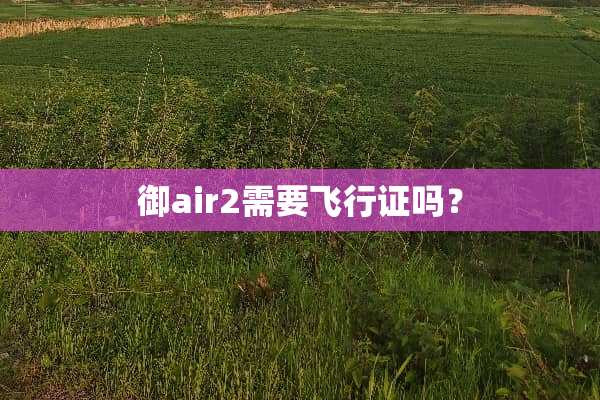 御air2需要飞行证吗？