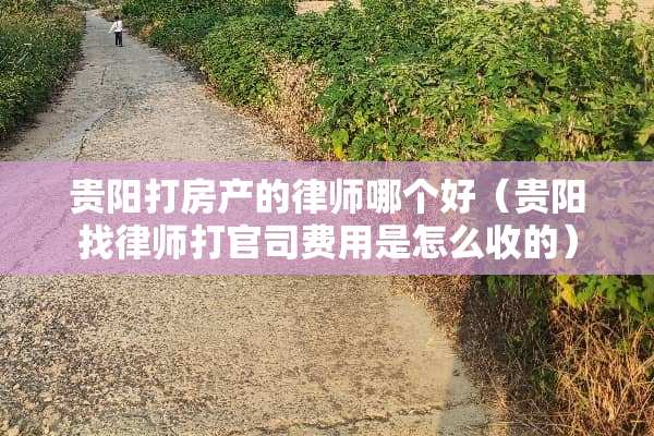 贵阳打房产的律师哪个好（贵阳找律师打官司费用是怎么收的）
