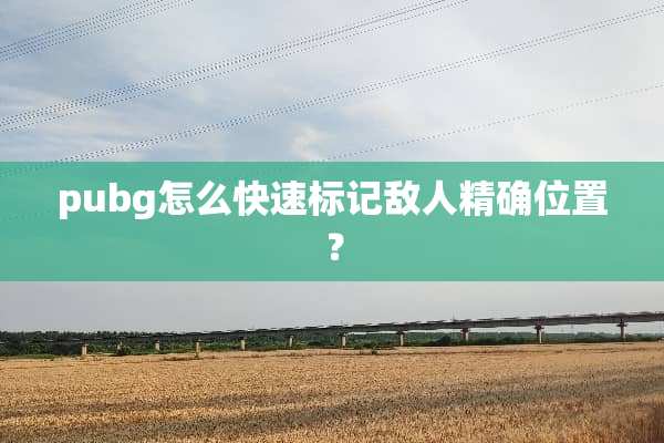 pubg怎么快速标记敌人精确位置？