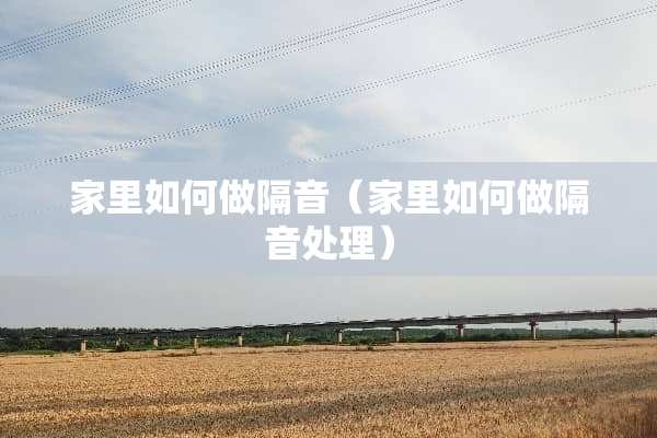 家里如何做隔音（家里如何做隔音处理）