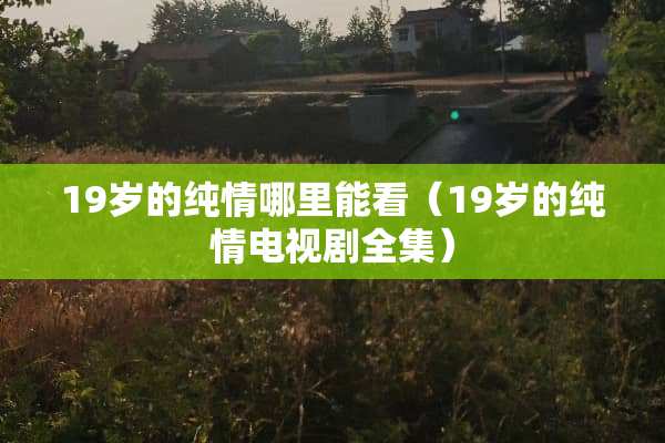19岁的纯情哪里能看（19岁的纯情电视剧全集）