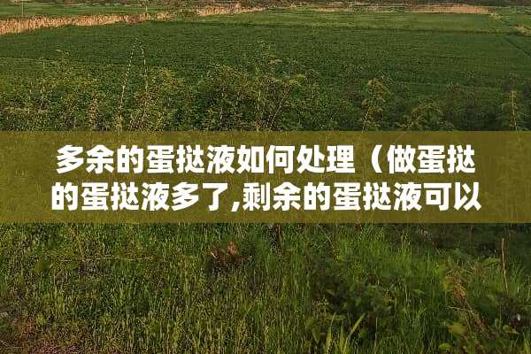 多余的蛋挞液如何处理（做蛋挞的蛋挞液多了,剩余的蛋挞液可以做些什么呢?）