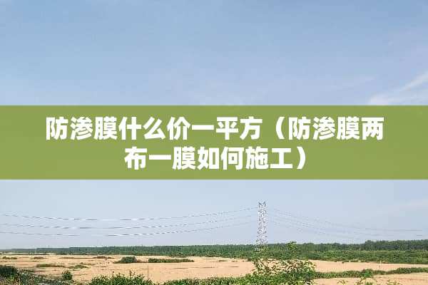 防渗膜什么价一平方（防渗膜两布一膜如何施工）
