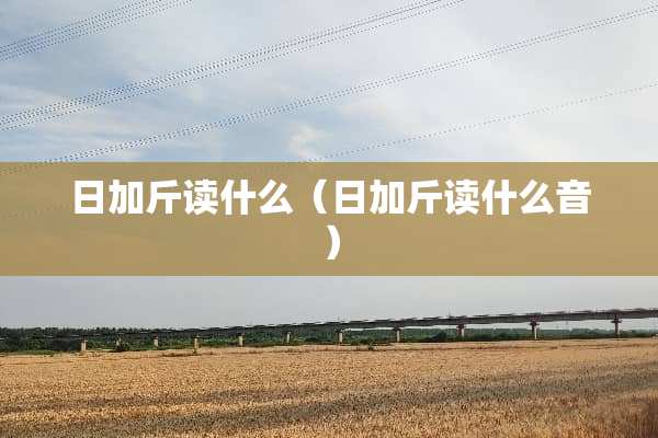 日加斤读什么（日加斤读什么音）