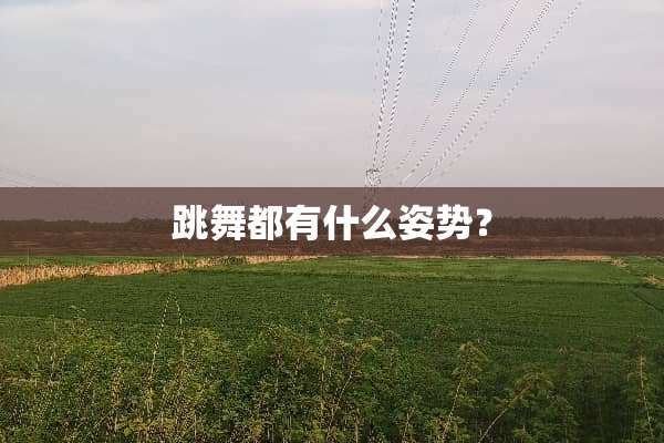 跳舞都有什么姿势？