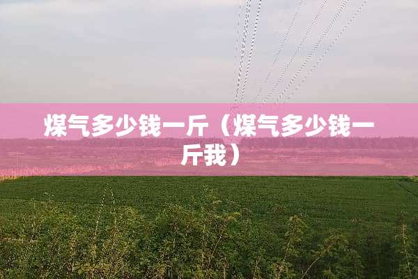 煤气多少钱一斤（煤气多少钱一斤我）