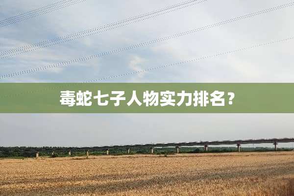 毒蛇七子人物实力排名？