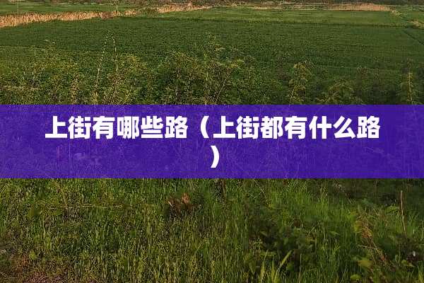 上街有哪些路（上街都有什么路）