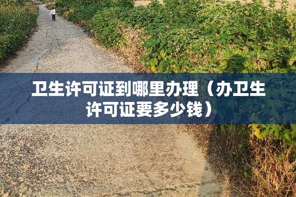 卫生许可证到哪里办理（办卫生许可证要多少钱）