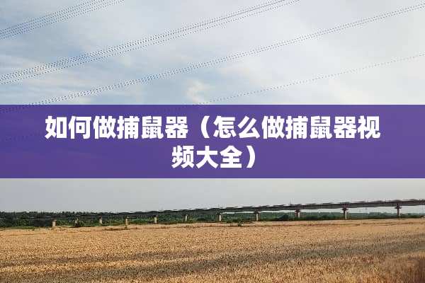 如何做捕鼠器（怎么做捕鼠器视频大全）