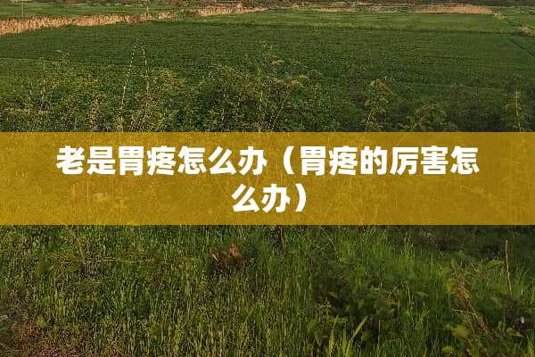 老是胃疼怎么办（胃疼的厉害怎么办）