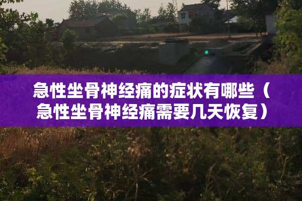 急性坐骨神经痛的症状有哪些（急性坐骨神经痛需要几天恢复）