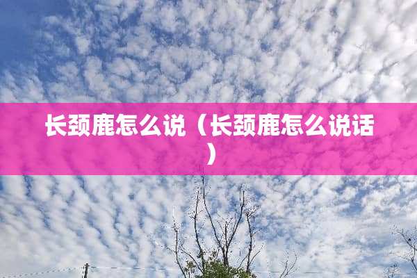 长颈鹿怎么说（长颈鹿怎么说话）