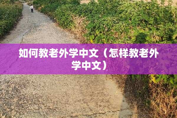 如何教老外学中文（怎样教老外学中文）