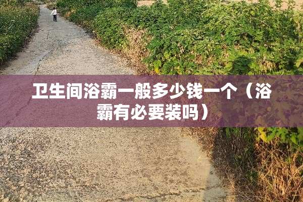 卫生间浴霸一般多少钱一个（浴霸有必要装吗）