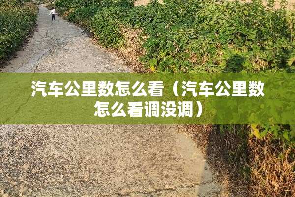 汽车公里数怎么看（汽车公里数怎么看调没调）