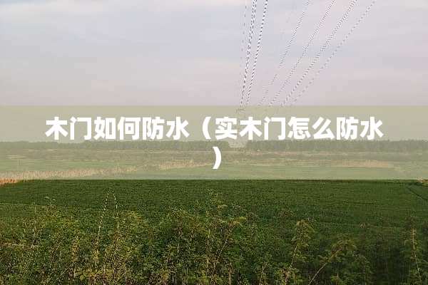 木门如何防水（实木门怎么防水）
