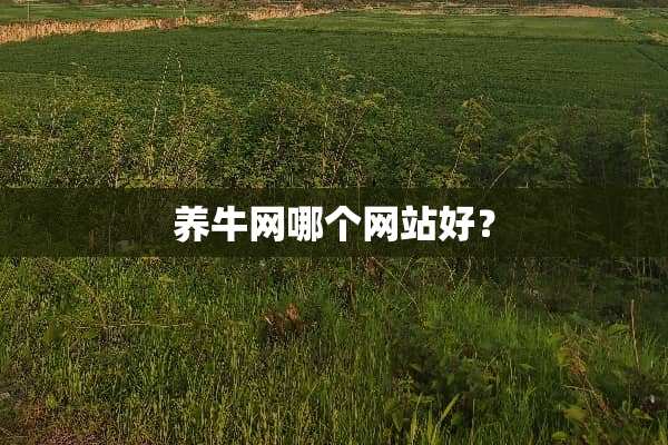 养牛网哪个网站好？