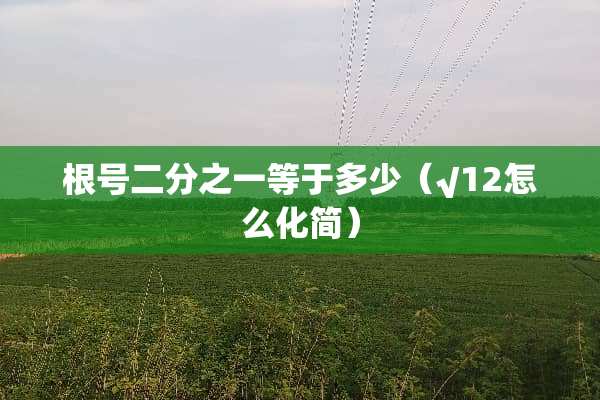 根号二分之一等于多少（√12怎么化简）