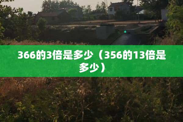 366的3倍是多少（356的13倍是多少）