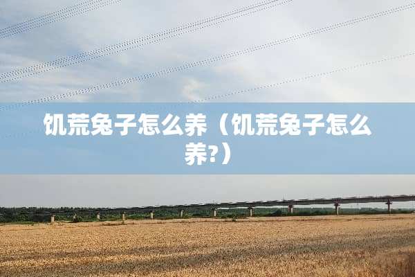 饥荒兔子怎么养（饥荒兔子怎么养?）