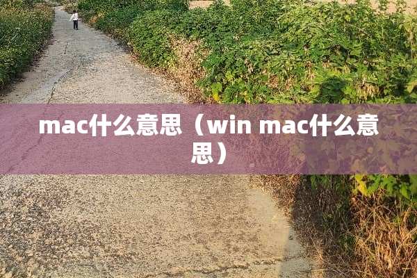mac什么意思（win mac什么意思）