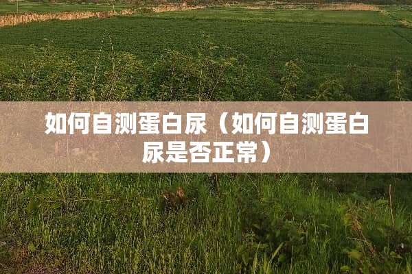 如何自测蛋白尿（如何自测蛋白尿是否正常）