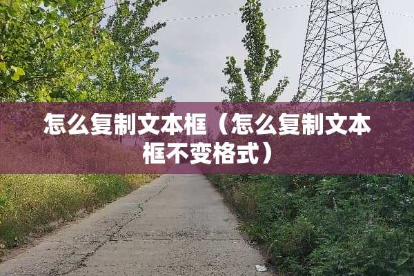 怎么复制文本框（怎么复制文本框不变格式）