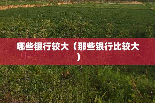 哪些银行较大（那些银行比较大）