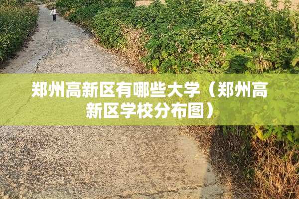 郑州高新区有哪些大学（郑州高新区学校分布图）