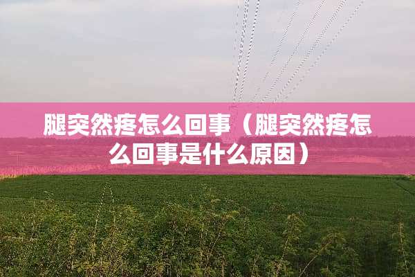 腿突然疼怎么回事（腿突然疼怎么回事是什么原因）