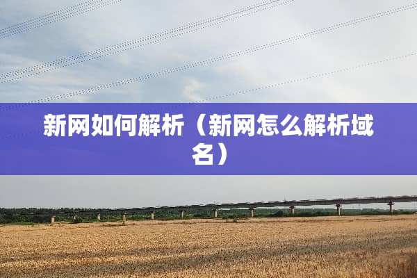 新网如何解析（新网怎么解析域名）