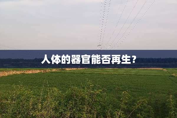 人体的**能否再生？