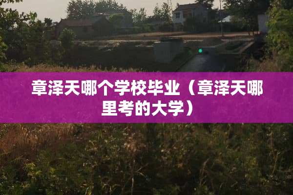 章泽天哪个学校毕业（章泽天哪里考的大学）