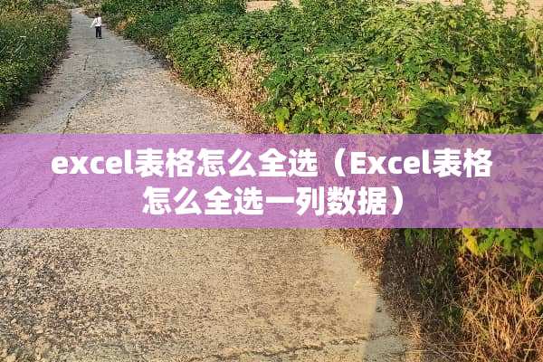 excel表格怎么全选（Excel表格怎么全选一列数据）