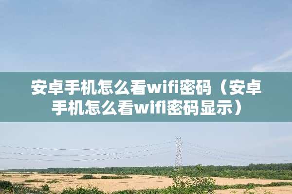 安卓手机怎么看wifi密码（安卓手机怎么看wifi密码显示）