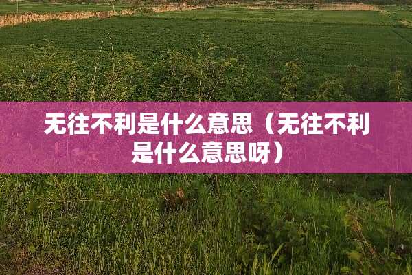 无往不利是什么意思（无往不利是什么意思呀）