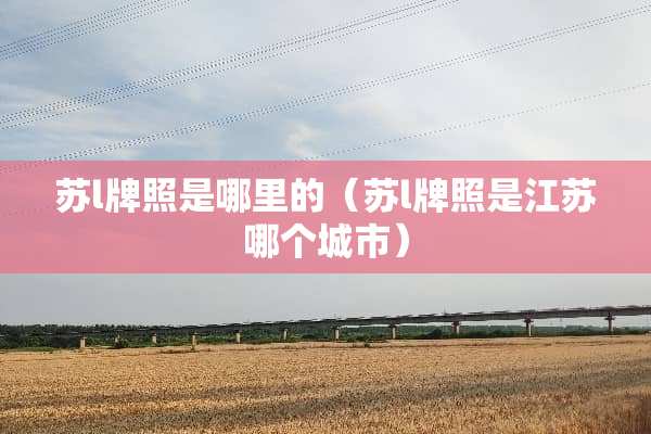苏l牌照是哪里的（苏l牌照是江苏哪个城市）
