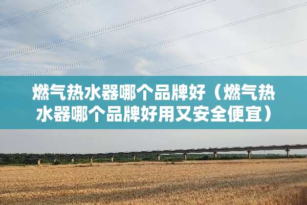 燃气热水器哪个品牌好（燃气热水器哪个品牌好用又安全便宜）
