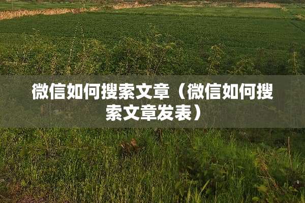 微信如何搜索文章（微信如何搜索文章发表）