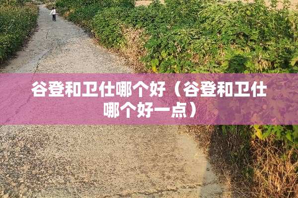 谷登和卫仕哪个好（谷登和卫仕哪个好一点）
