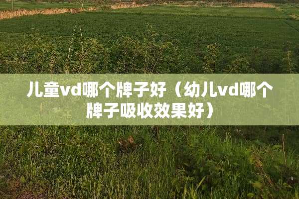 儿童vd哪个牌子好（幼儿vd哪个牌子吸收效果好）