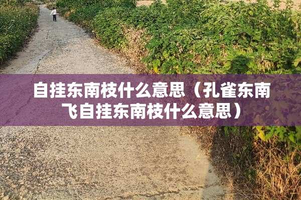 自挂东南枝什么意思（孔雀东南飞自挂东南枝什么意思）