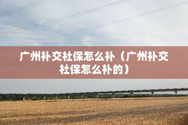 广州补交社保怎么补（广州补交社保怎么补的）