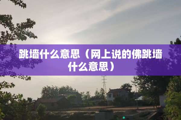 跳墙什么意思（网上说的佛跳墙什么意思）