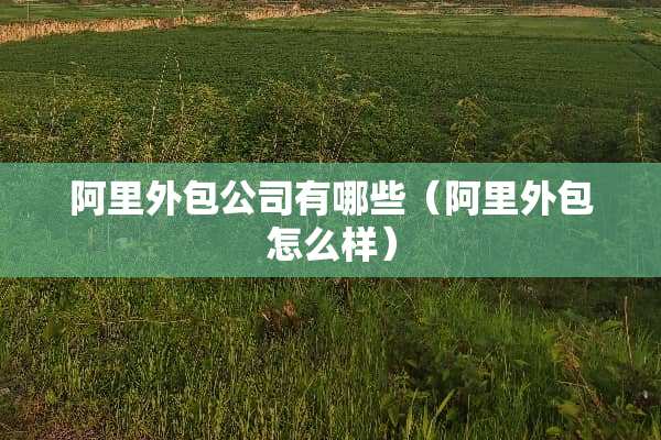 阿里外包公司有哪些（阿里外包怎么样）