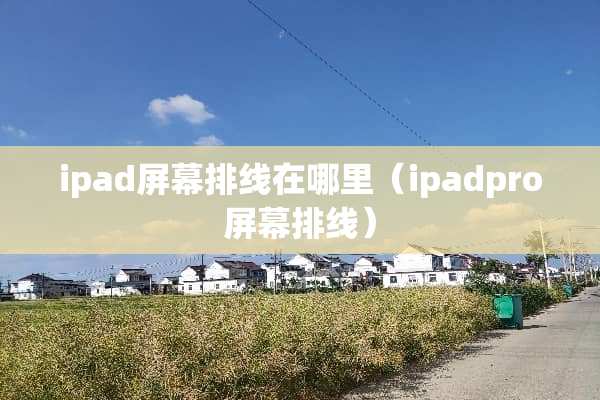 ipad屏幕排线在哪里（ipadpro屏幕排线）